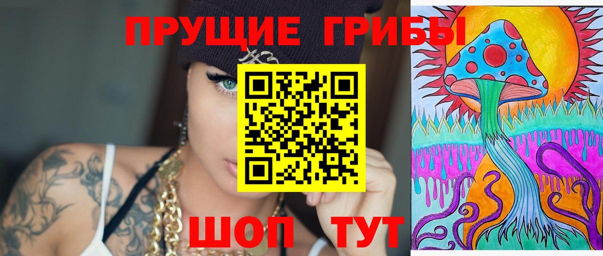 Псилоцибиновые грибы Cubensis  Вход с VPN  Дубна 