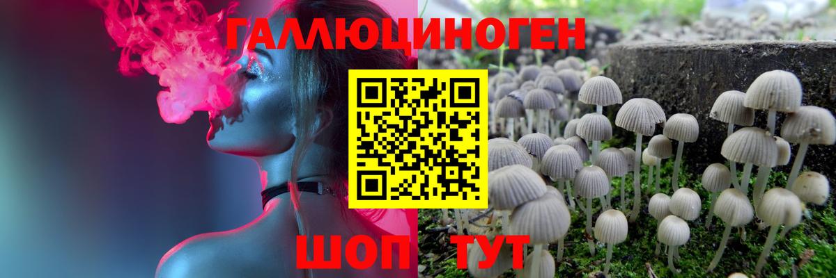 Галлюциногенные грибы Psilocybine cubensis Дубна