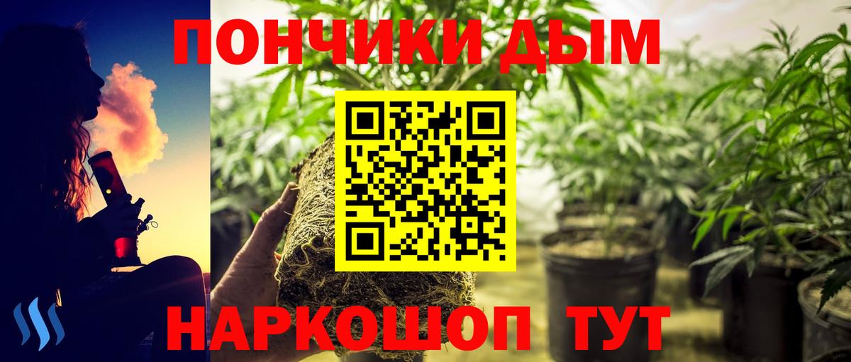 Бошки марихуана ГИДРОПОН Дубна
